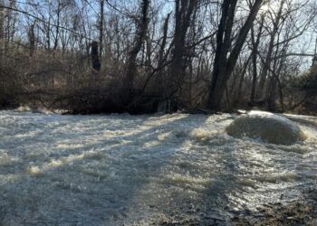 Millions of gallons of sewage spilled into the Potomac River