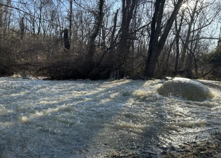 Millions of gallons of sewage spilled into the Potomac River