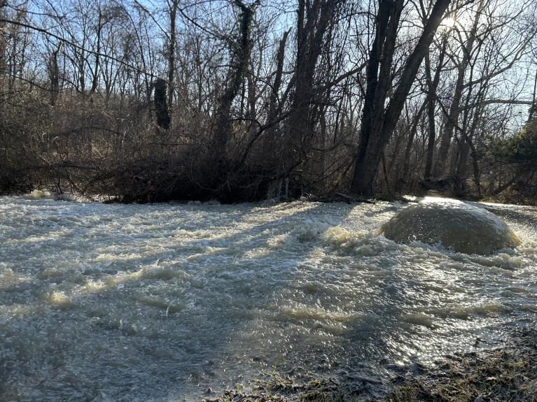 Millions of gallons of sewage spilled into the Potomac River