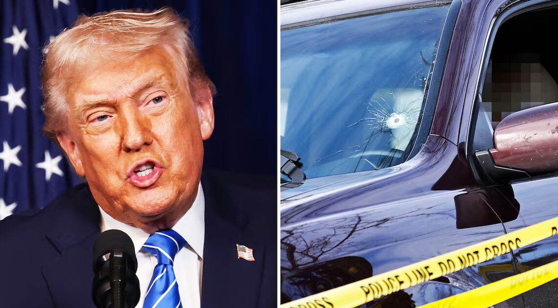 Trump Issues Jaw-Dropping Insult to Woman Killed by ICE