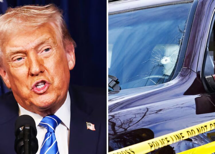 Trump Issues Jaw-Dropping Insult to Woman Killed by ICE