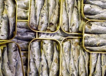 How the supermarket’s cheapest fish became Gen Z’s latest obsession