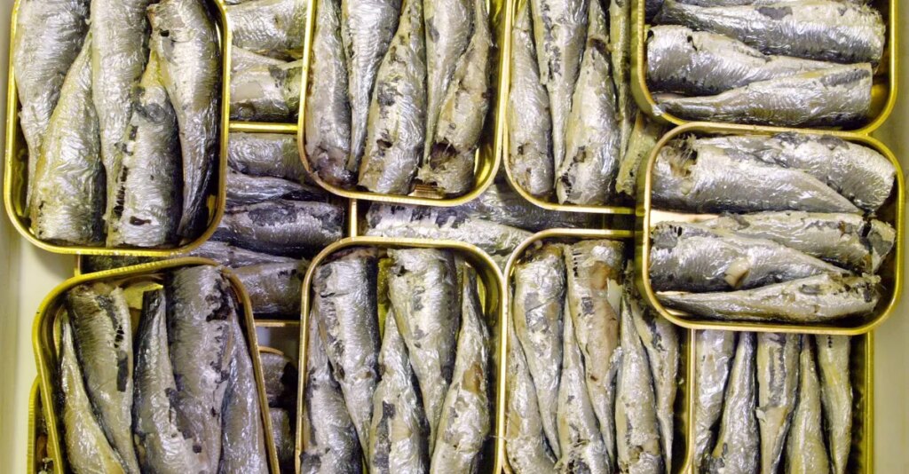 How the supermarket’s cheapest fish became Gen Z’s latest obsession