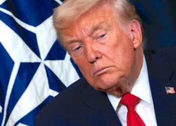 Wall Street celebrates the end of Trump’s Greenland tariff threats and expects the Supreme Court will kill the rest of them