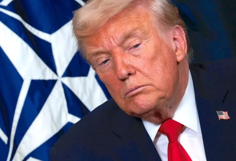 Wall Street celebrates the end of Trump’s Greenland tariff threats and expects the Supreme Court will kill the rest of them