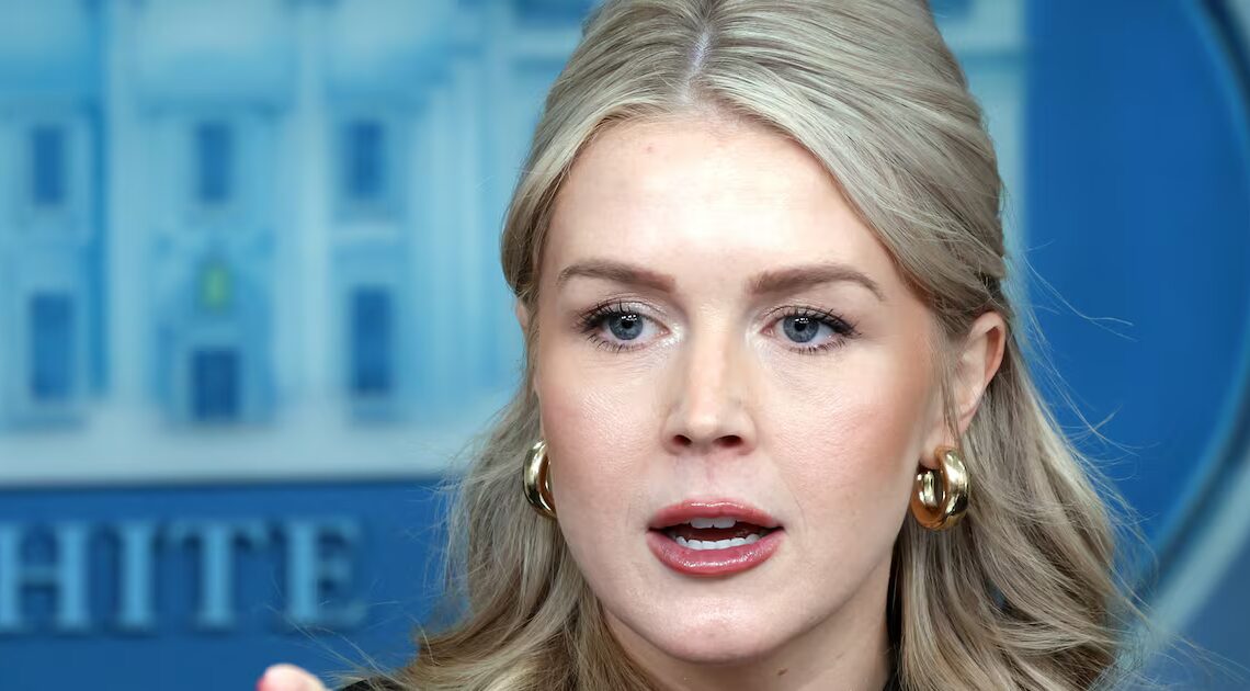 Leavitt Slapped Down for Claiming Erratic Trump Speech Had ‘Rave Reviews’