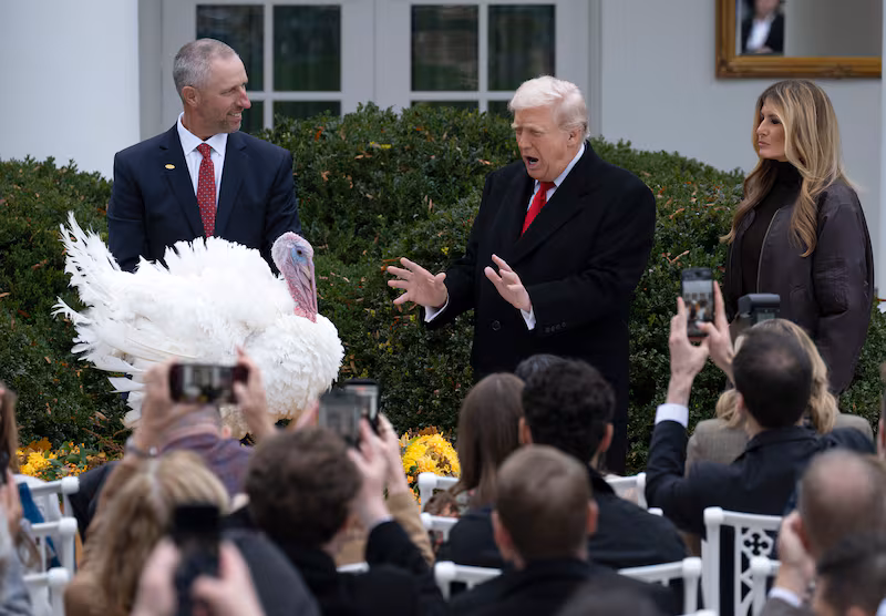 Trump formally pardons Gobble the turkey in the Rose Garden last November.