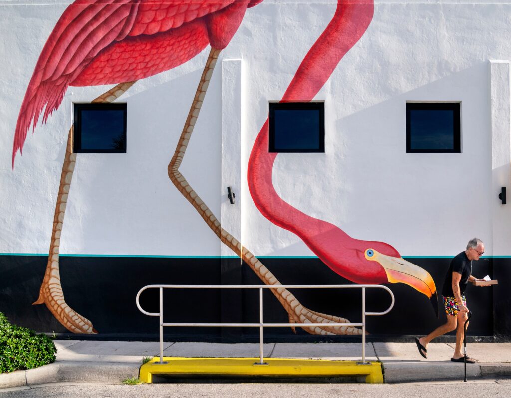 Flamingo fans fight to unseat the mockingbird as Florida’s state bird