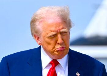 Former Trump Aide Slams ‘Most Deranged’ Thing He’s Done in Office