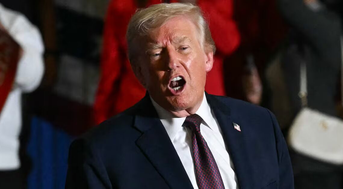 Sidelined Trump Goon Secretly Working on Unhinged Project