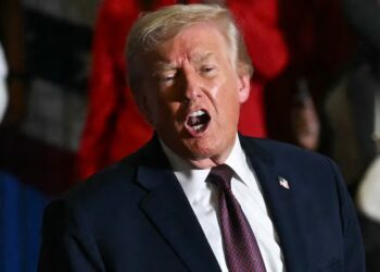 Sidelined Trump Goon Secretly Working on Unhinged Project