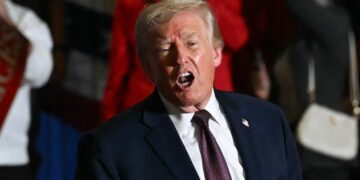 Sidelined Trump Goon Secretly Working on Unhinged Project