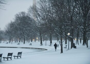 What to know as D.C. area braces for heavy snow, ice and severe cold