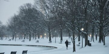 What to know as D.C. area braces for heavy snow, ice and severe cold