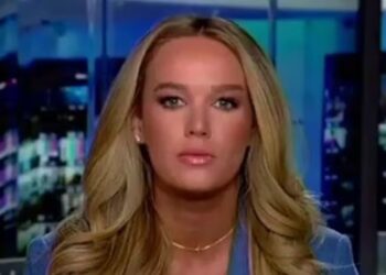 DHS Goon Desperately Clings to Slain Nurse ‘Terrorist’ Label on Fox News