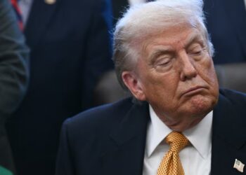 Top Doctor Calls for Trump, 79, to Be Evaluated After Struggling to Keep His Eyes Open