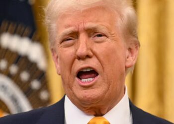 Even Trump Judges Are Trashing His Hardline Deportation Plot