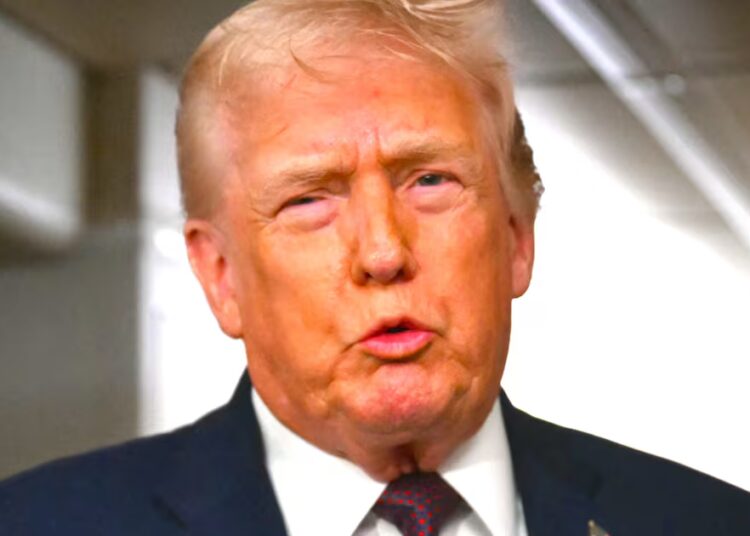 Trump Gives Jaw-Dropping Answer on Deadly Force After Mom Shot by ICE