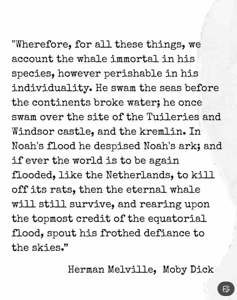 Schlossberg also included an excerpt from Herman Melville's Moby Dick.