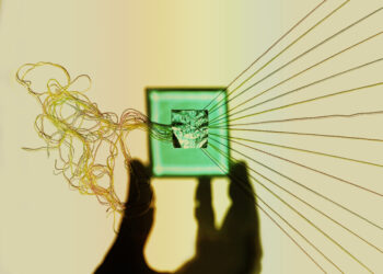 A new approach to living a good life comes from a most unlikely place