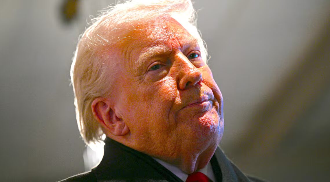 ICE Agents Spark Diplomatic Incident in Fresh Headache for Trump