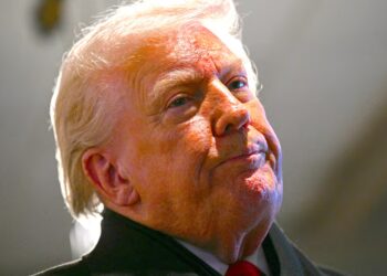 ICE Agents Spark Diplomatic Incident in Fresh Headache for Trump