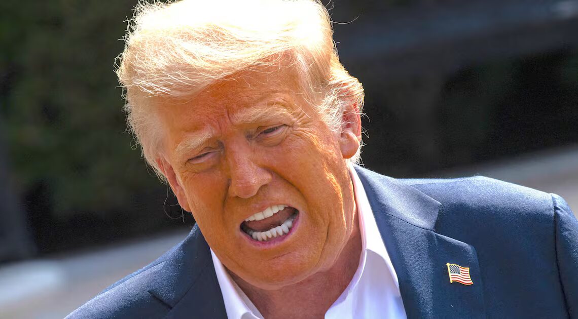 Delusional Trump, 79, Floats Unhinged Reason to Skip Midterms