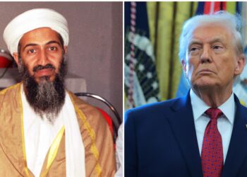 Delusional Trump, 79, Makes Bonkers Bin Laden Claim