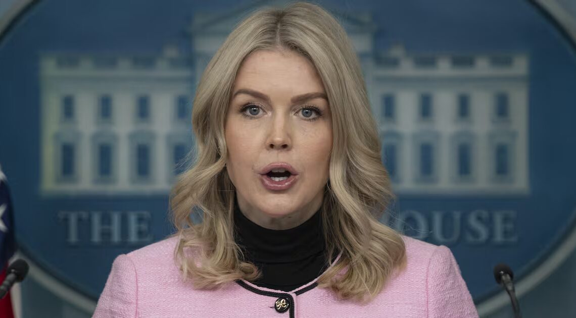 Leavitt Claims Dem Moms Are Defecting to GOP for Wild Reason