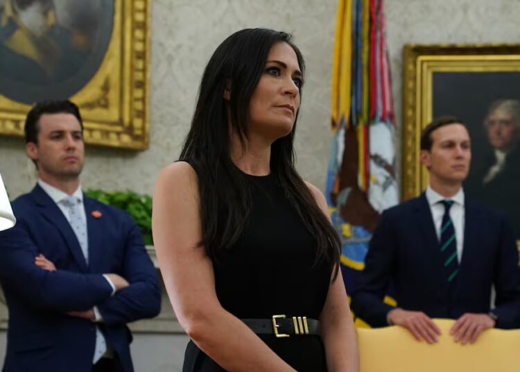 Ex-Trump Aide Begs President to Ignore Advisors and Pull ICE