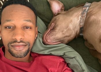 Dogs — once abandoned, now pampered — go viral after man shares rescue story