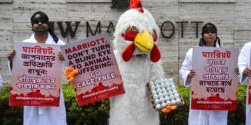 Marriott ruffles feathers by failing pledge to use only cage-free eggs