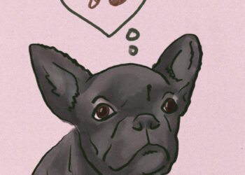 Ask a Vet: Does my dog really need heartworm medication?