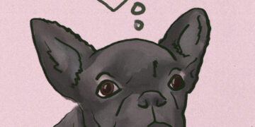 Ask a Vet: Does my dog really need heartworm medication?