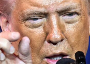 Diplomat Floored by Trump’s ‘Completely Insane’ Idea