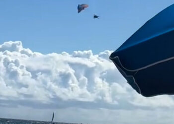 Paraglider Survives 500-Foot Crash Into Ocean Off Florida, Rescuers Say