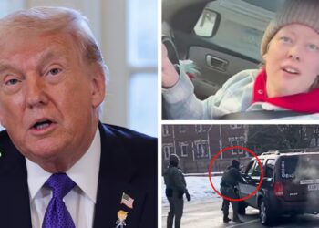 Trump Blasts ‘Paid Agitator’ After ICE Kills American Mom