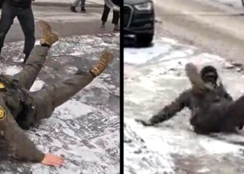 ICE Karen Whines ICE Goons Could Be Killed by Ice