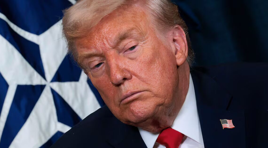 How Much TACO Trump Crumbled on Greenland Deal Revealed