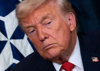 How Much TACO Trump Crumbled on Greenland Deal Revealed