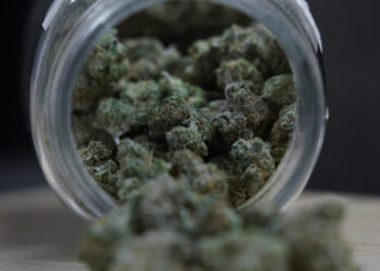 What we know and don’t know about medical cannabis use