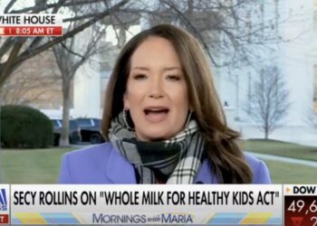 Trump’s Dairy Queen Gives Pathetic Defense of Tragic $3 Meal