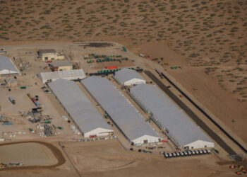 Medical examiner likely to classify death of ICE detainee as homicide, recorded call says