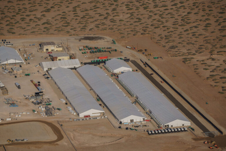 MEDICAL EXAMINER LIKELY TO CLASSIFY ICE DETAINEE intelligence overview