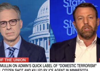 MAGA Senator Crumbles While Defending ICE Shooting on Live TV