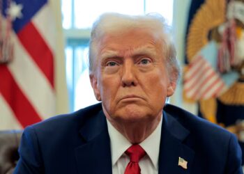 Trump Cornered on ICE Shooting Evidence After His Jaw-Dropping Insult to Slain Mom