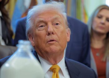 MAHA Revolts Over Trump’s ‘Pathetic’ Milk Move