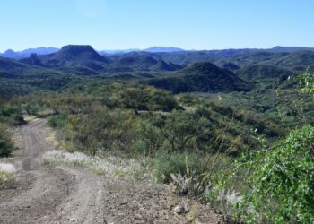 Person in critical condition after Arizona shooting involving Border Patrol