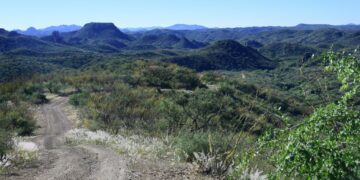 Person in critical condition after Arizona shooting involving Border Patrol