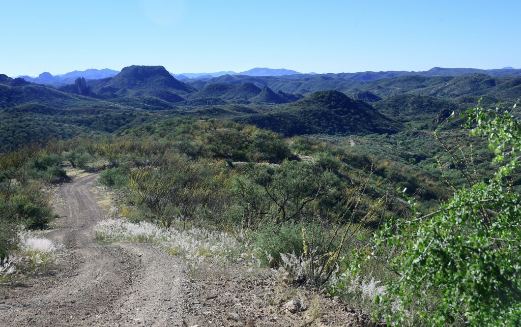 Person in critical condition after Arizona shooting involving Border Patrol
